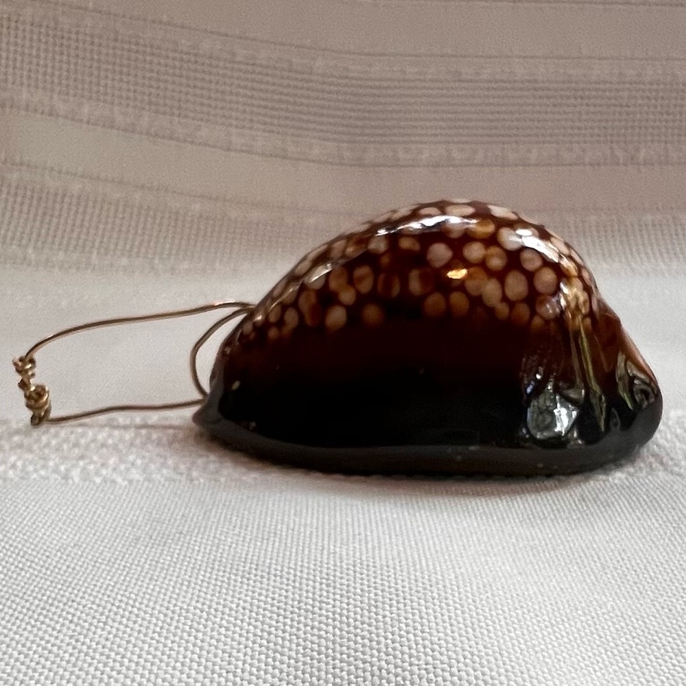 Humpback Cowry Cowrie Shell Gold Wire Bail EUC - Picture 8 of 13